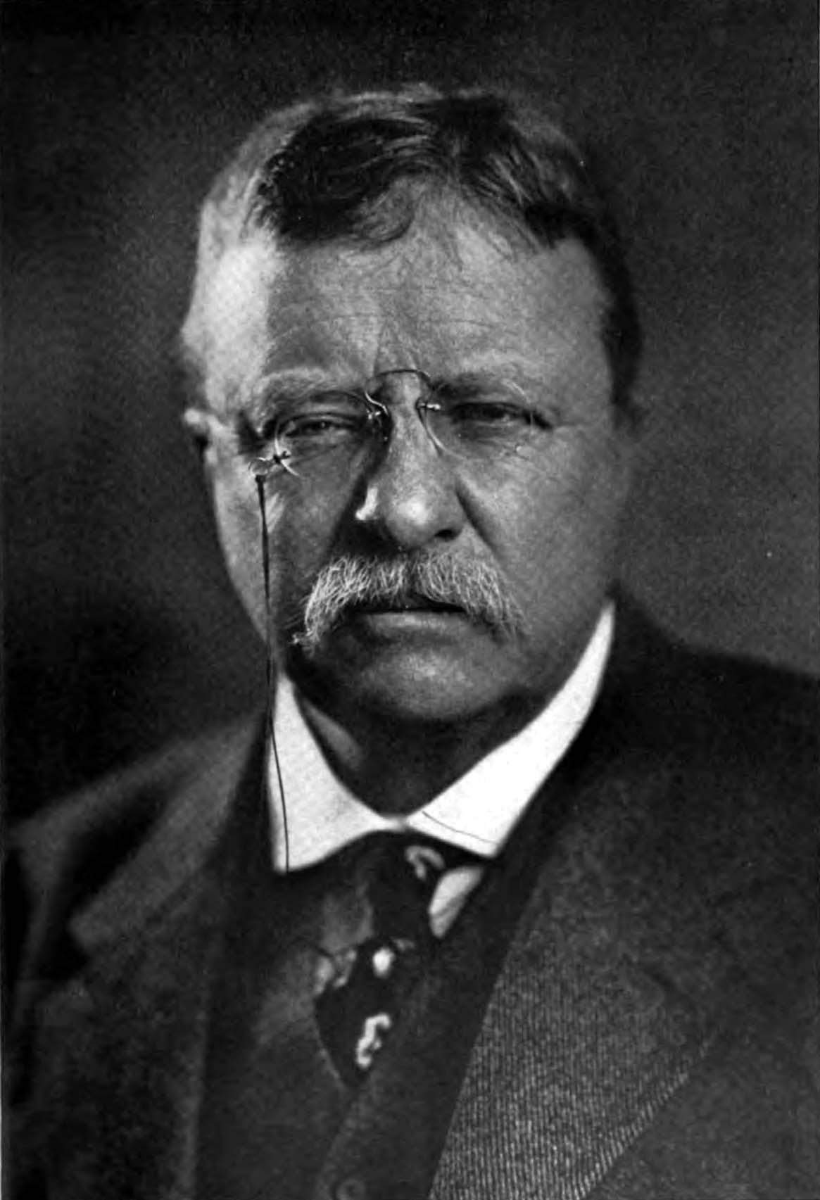 theodore roosevelt research paper